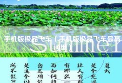 手机版极品飞车（手机版极品飞车最高通缉）