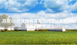 百度SEO优化排名实用技巧（让你的网站排名自然优化）