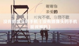没有摄像头的手机（没有摄像头的手机能视频吗）