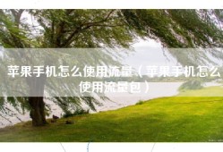 苹果手机怎么使用流量（苹果手机怎么使用流量包）