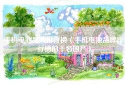 手机电池品牌排行榜（手机电池品牌排行榜前十名国产）