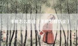 手机怎么防尘（手机怎样防尘）