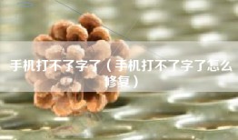 手机打不了字了（手机打不了字了怎么修复）
