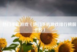 热门手机游戏（热门手机游戏排行榜前十名）