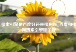 搜索引擎是百度好还是搜狗好_百度和搜狗搜索引擎哪个好