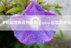 手机运营商官网查询（iphone运营商查询）