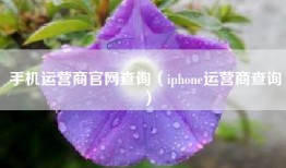 手机运营商官网查询（iphone运营商查询）