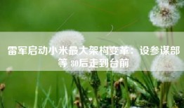 雷军启动小米最大架构变革：设参谋部等 80后走到台前