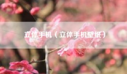 立体手机（立体手机壁纸）