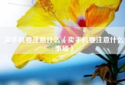 卖手机要注意什么（卖手机要注意什么事项）