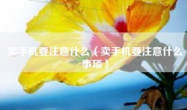 卖手机要注意什么(卖手机要注意什么事项)