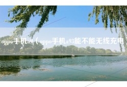 oppo手机a9（oppo手机a93能不能无线充电）