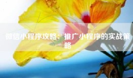 微信小程序攻略：推广小程序的实战策略