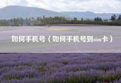 如何手机号（如何手机号到sim卡）