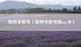 如何手机号（如何手机号到sim卡）