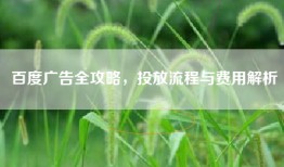百度广告全攻略，投放流程与费用解析