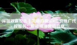 深圳双赢世讯｜龙华百度SEM竞价推广代投服务：解锁精准营销篇章