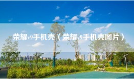 荣耀v9手机壳（荣耀v9手机壳图片）