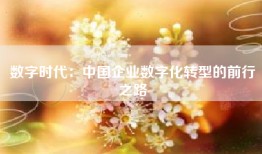 数字时代：中国企业数字化转型的前行之路
