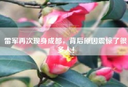 雷军再次现身成都，背后原因震惊了很多人！
