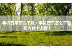手机音乐怎么下载（手机音乐怎么下载到内存卡上面）