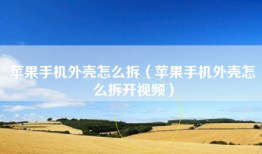 苹果手机外壳怎么拆（苹果手机外壳怎么拆开视频）