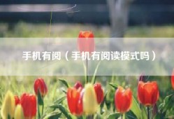 手机有阅（手机有阅读模式吗）
