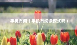 手机有阅（手机有阅读模式吗）