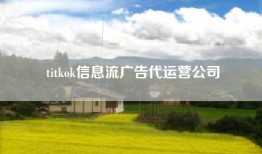 titkok信息流广告代运营公司