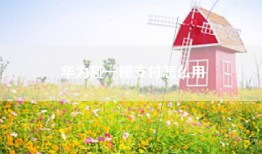 华为碰一碰支付怎么用