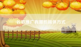 谷歌推广有哪些具体方式