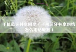 手机蓝牙共享网络（手机蓝牙共享网络怎么用给电脑）