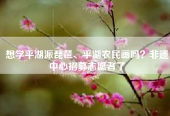 想学平湖派琵琶、平湖农民画吗？非遗中心招募志愿者了