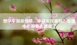 想学平湖派琵琶、平湖农民画吗？非遗中心招募志愿者了