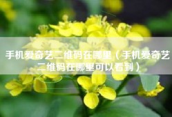 手机爱奇艺二维码在哪里（手机爱奇艺二维码在哪里可以看到）