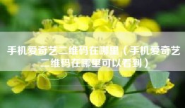 手机爱奇艺二维码在哪里（手机爱奇艺二维码在哪里可以看到）