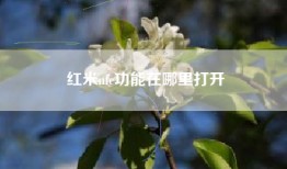红米nfc功能在哪里打开