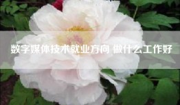 数字媒体技术就业方向 做什么工作好