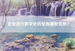 企业进行数字化转型有哪些优势？