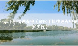 oppo手机快速充电（OPPO手机快速充电是多少瓦）