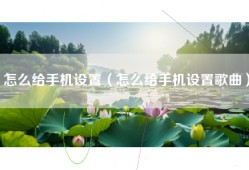 怎么给手机设置（怎么给手机设置歌曲）