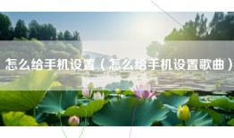 怎么给手机设置（怎么给手机设置歌曲）