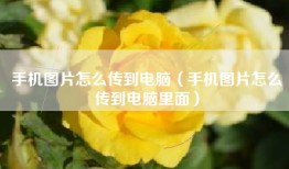 手机图片怎么传到电脑（手机图片怎么传到电脑里面）