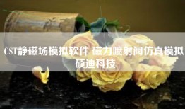 CST静磁场模拟软件 磁力喷射阀仿真模拟 硕迪科技
