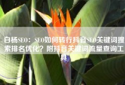 白杨SEO：SEO如何转行抖音SEO关键词搜索排名优化？附抖音关键词流量查询工具