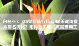 白杨SEO：SEO如何转行抖音SEO关键词搜索排名优化？附抖音关键词流量查询工具