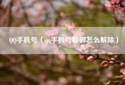 QQ手机号（qq手机号解绑怎么解除）