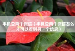 手机登两个微信（手机登两个微信怎么才可以看到另一个信息）
