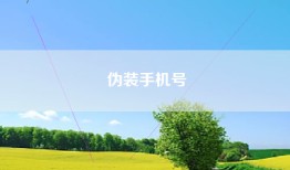 伪装手机号