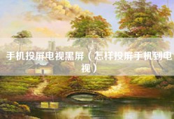 手机投屏电视黑屏（怎样投屏手机到电视）